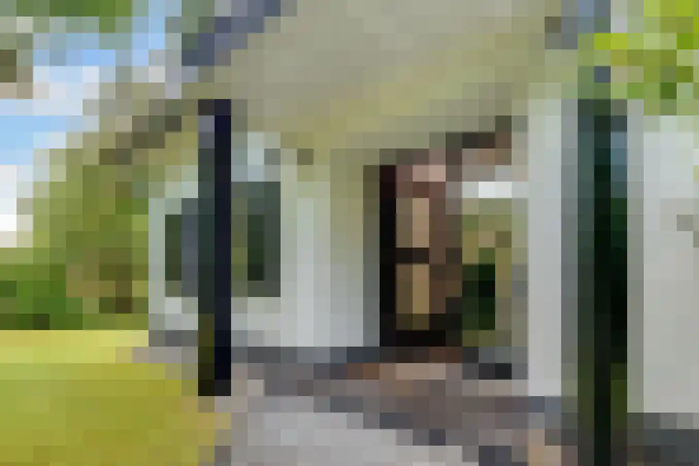 Burg. Van Holthelaan 1 Zeist thumbnail 6