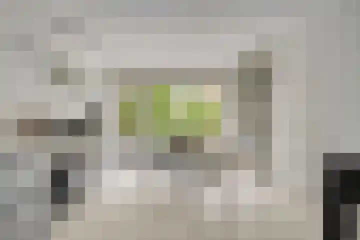Burg. Van Holthelaan 10 Zeist thumbnail 10