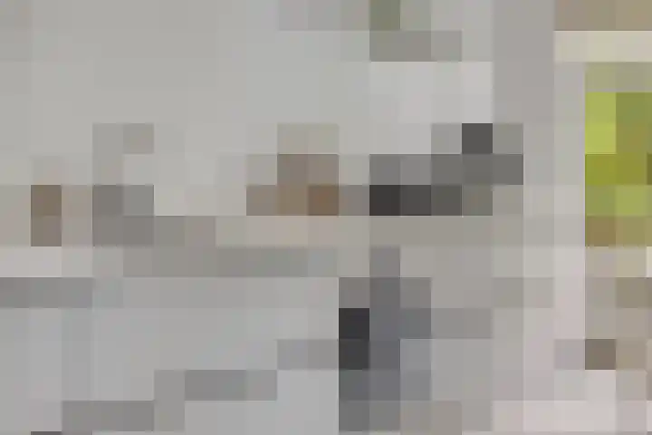 Burg. Van Holthelaan 10 Zeist thumbnail 11