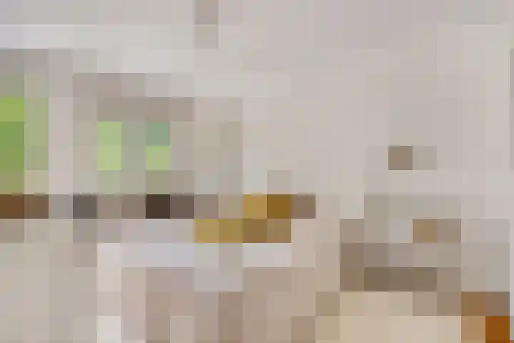 Burg. Van Holthelaan 10 Zeist thumbnail 14