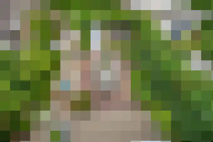 Burg. Van Holthelaan 10 Zeist thumbnail 17