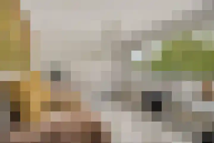 Burg. Van Holthelaan 10 Zeist thumbnail 18