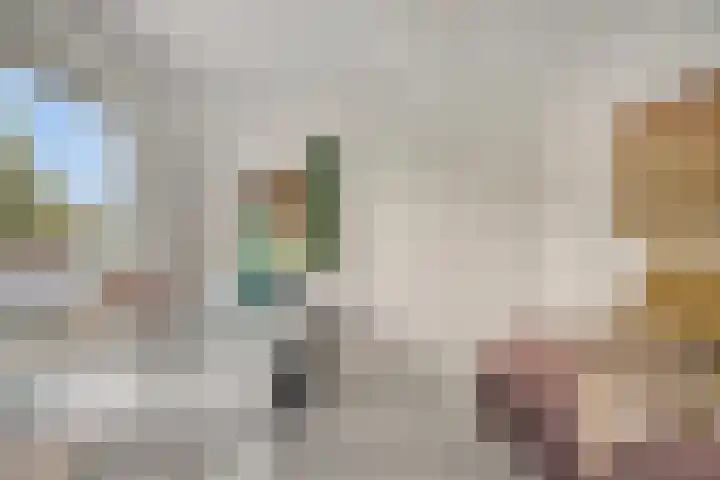 Burg. Van Holthelaan 10 Zeist thumbnail 19