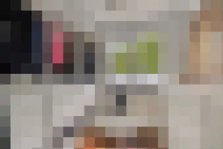 Burg. Van Holthelaan 10 Zeist thumbnail 24