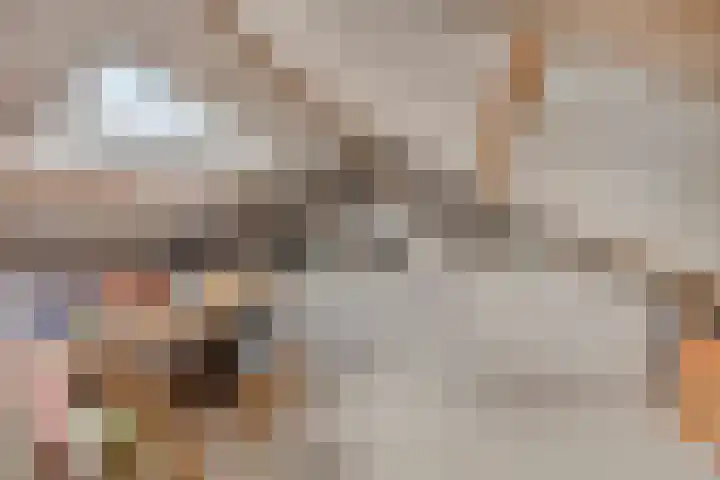 Burg. Van Holthelaan 10 Zeist thumbnail 25