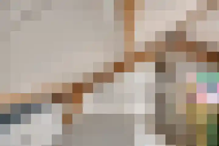 Burg. Van Holthelaan 10 Zeist thumbnail 27