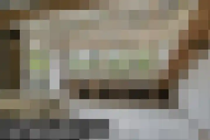 Burg. Van Holthelaan 10 Zeist thumbnail 30