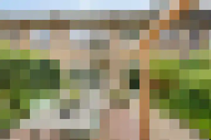 Burg. Van Holthelaan 10 Zeist thumbnail 31