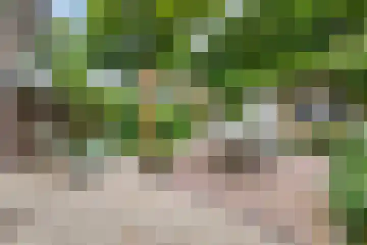 Burg. Van Holthelaan 10 Zeist thumbnail 32