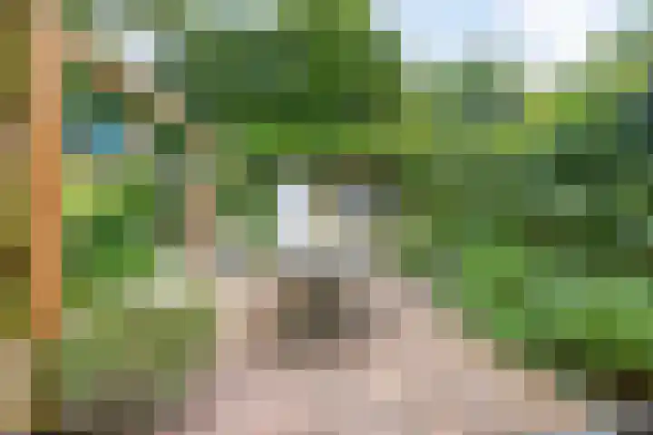 Burg. Van Holthelaan 10 Zeist thumbnail 33