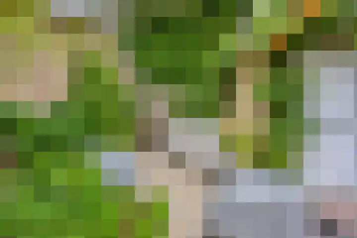Burg. Van Holthelaan 10 Zeist thumbnail 34