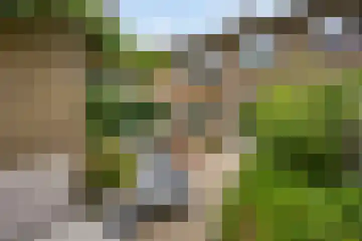 Burg. Van Holthelaan 10 Zeist thumbnail 35