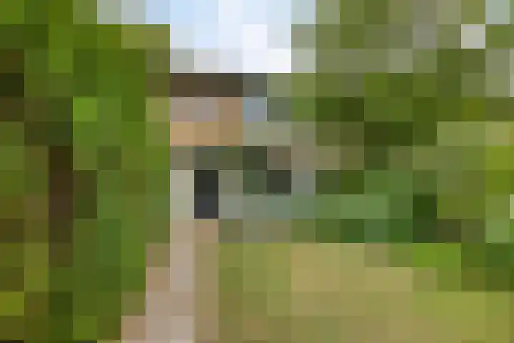 Burg. Van Holthelaan 10 Zeist thumbnail 36
