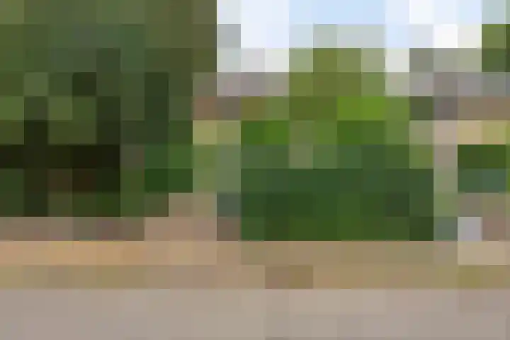 Burg. Van Holthelaan 10 Zeist thumbnail 38