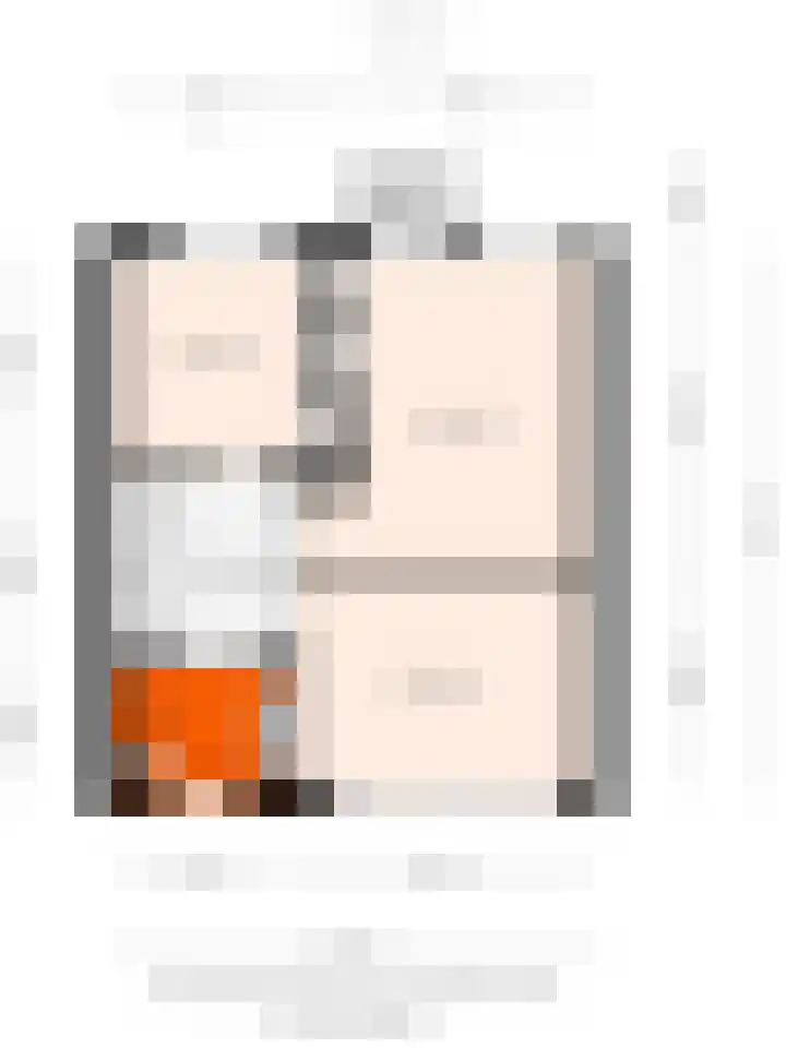 Burg. Van Holthelaan 10 Zeist thumbnail 41