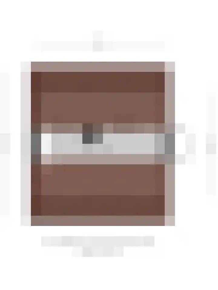 Burg. Van Holthelaan 10 Zeist thumbnail 42