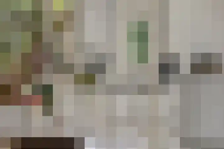 Burg. Van Holthelaan 10 Zeist thumbnail 5