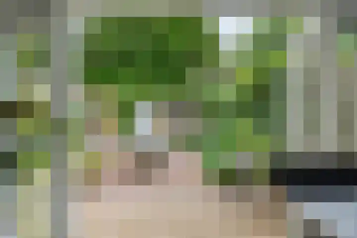 Burg. Van Holthelaan 10 Zeist thumbnail 6