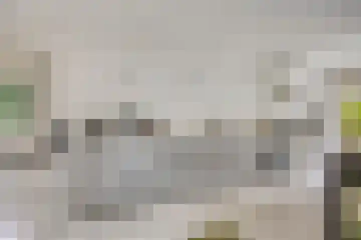 Burg. Van Holthelaan 10 Zeist thumbnail 7