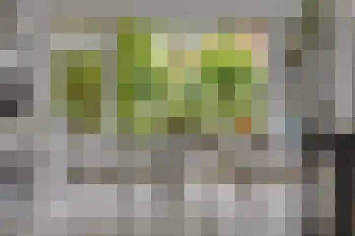 Burg. Van Holthelaan 10 Zeist thumbnail 8