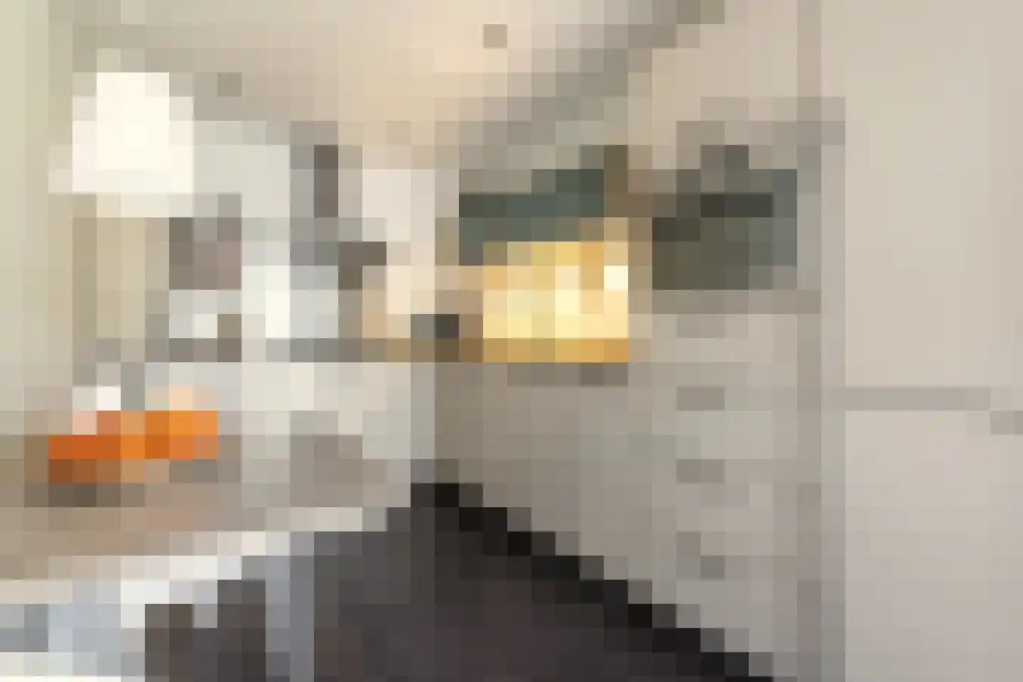 Burg. Van Holthelaan 3 Zeist thumbnail 15