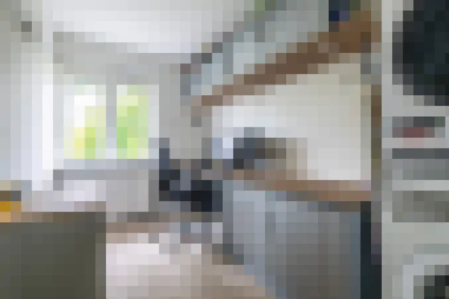 Burg. Van Holthelaan 3 Zeist thumbnail 20