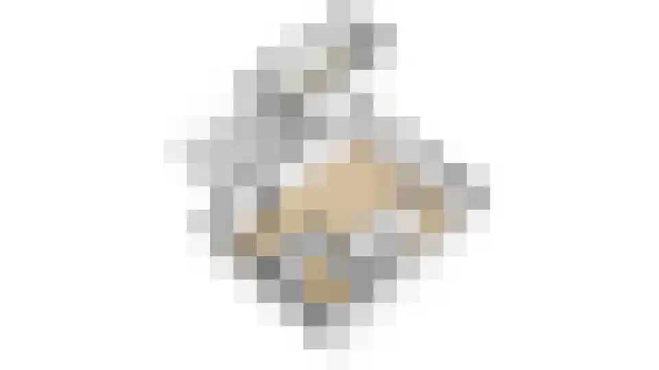 Burg. Van Holthelaan 3 Zeist thumbnail 38