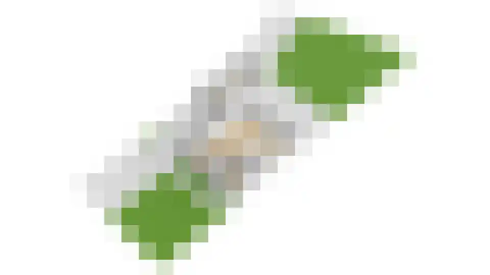 Burg. Van Holthelaan 3 Zeist thumbnail 42