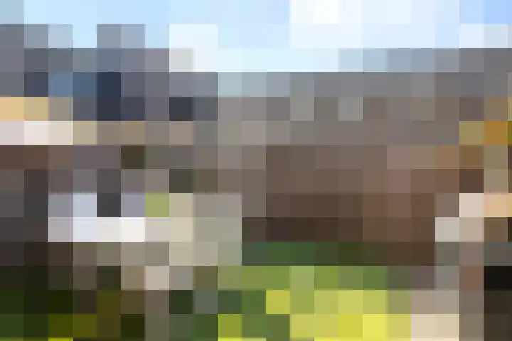 Burg. Van Houdtplein 16 Bladel thumbnail 16