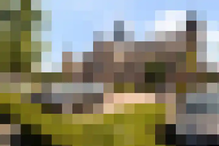 Burg. Van Houdtplein 16 Bladel thumbnail 22