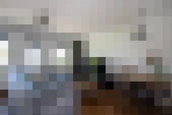 Burg. Van Houdtplein 16 Bladel thumbnail 6