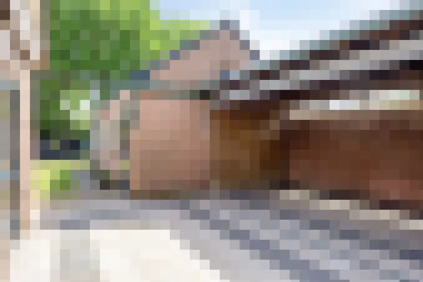 Burg. Van Houtstraat 26 Budel thumbnail 28