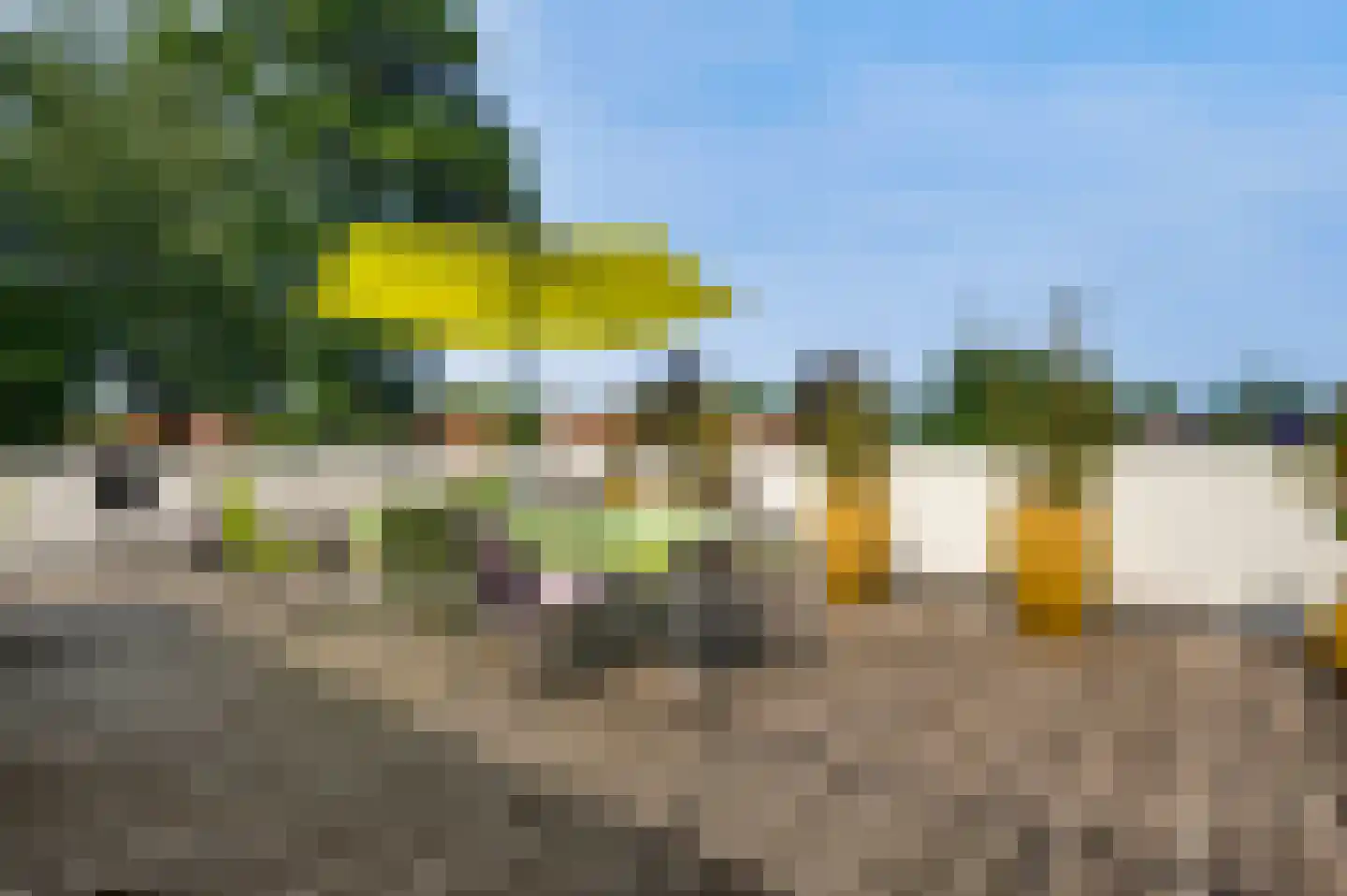 Burg. Van Houtstraat 47 Budel thumbnail 28