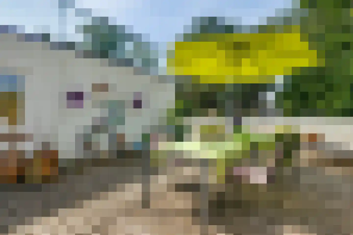 Burg. Van Houtstraat 47 Budel thumbnail 29