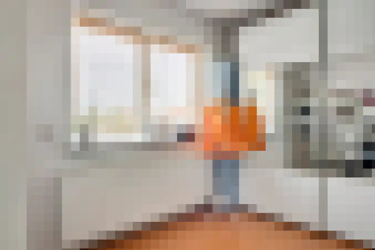 Burg. Van Houtstraat 47 Budel thumbnail 31