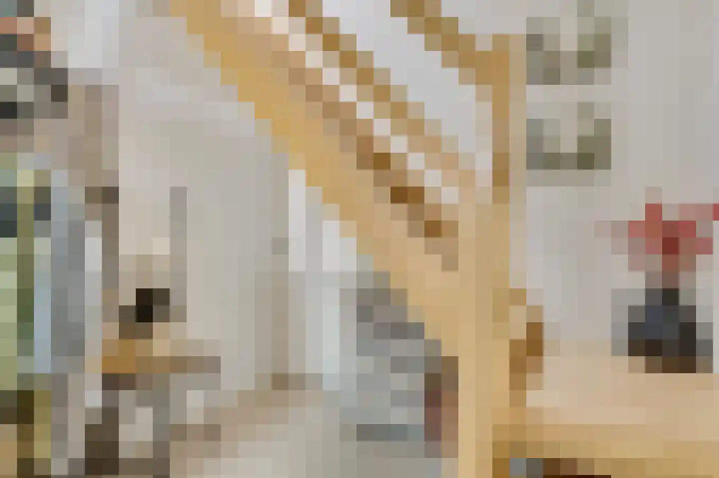 Burg. Van Houtstraat 47 Budel thumbnail 9