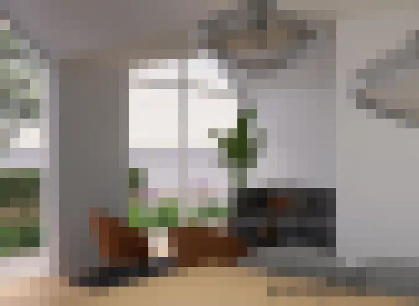 Burg. Van Houtstraat 53 Budel thumbnail 9