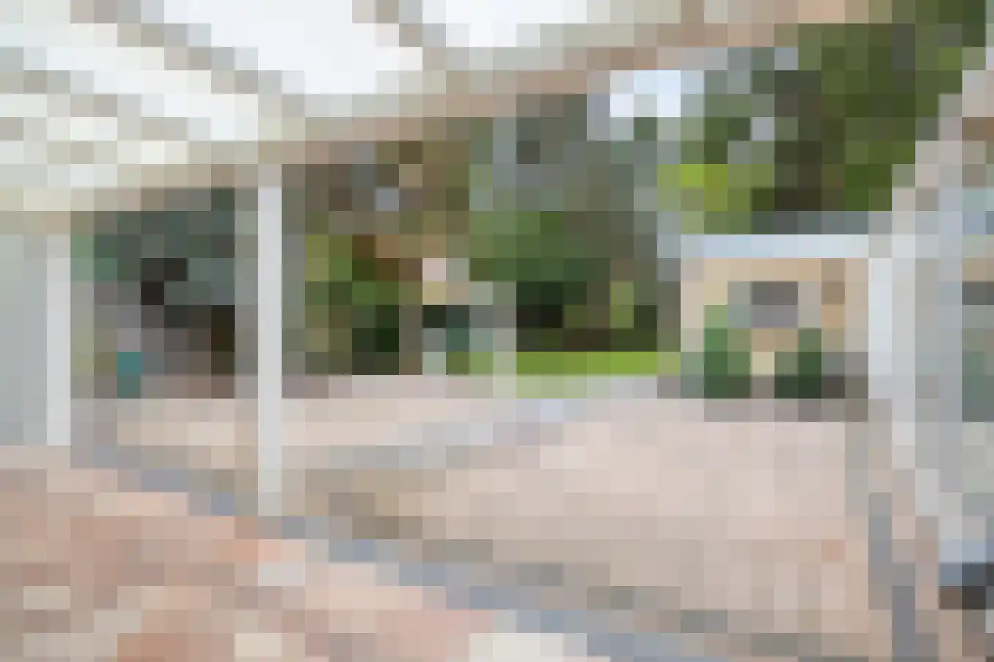 Burg. Van Houtstraat 75 Budel thumbnail 29