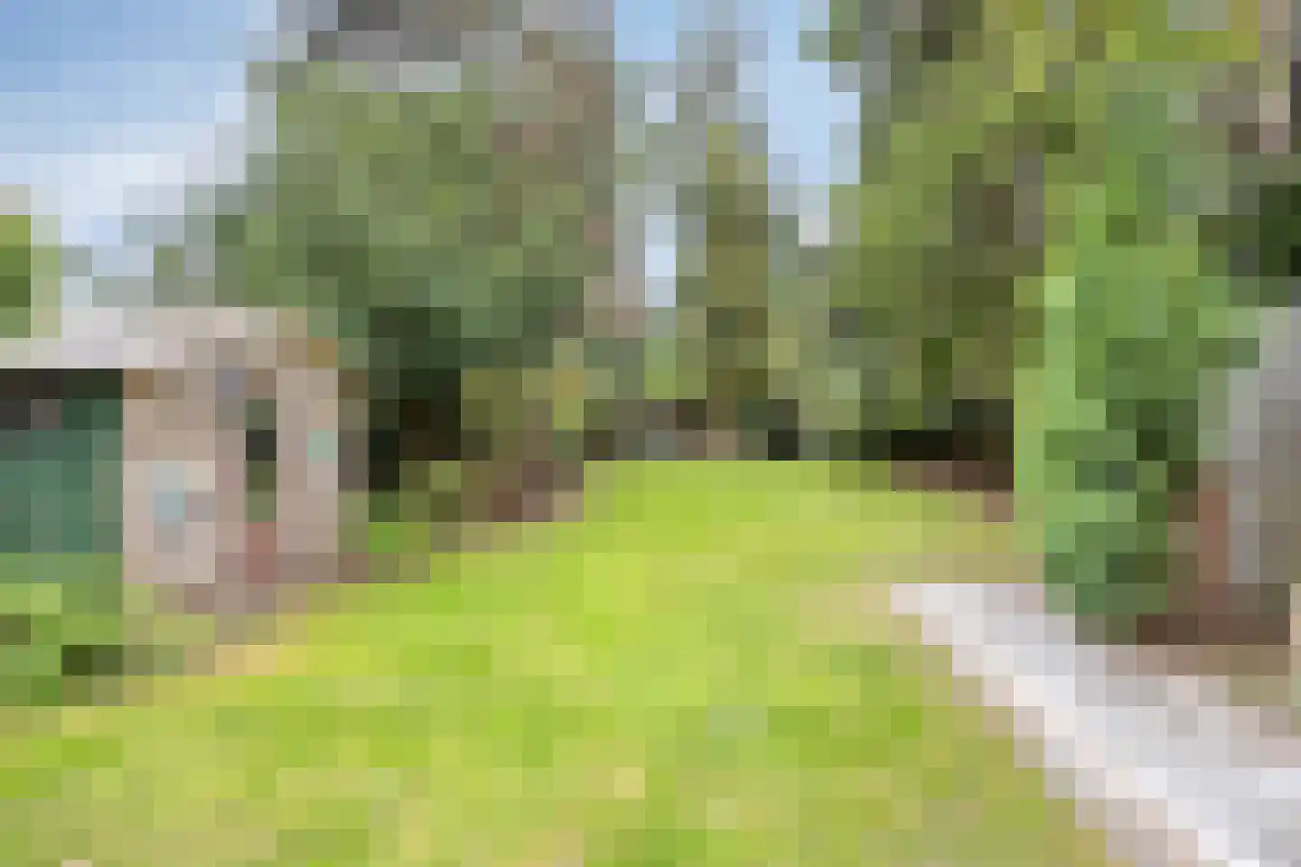 Burg. Van Houtstraat 75 Budel thumbnail 32