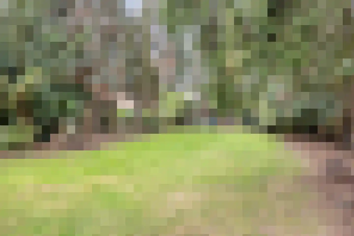 Burg. Van Houtstraat 75 Budel thumbnail 33