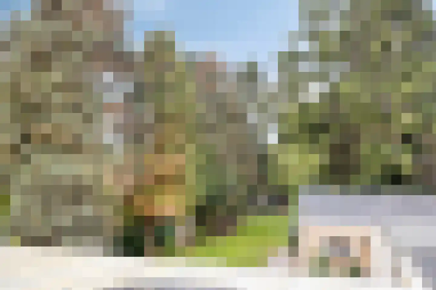 Burg. Van Houtstraat 75 Budel thumbnail 36