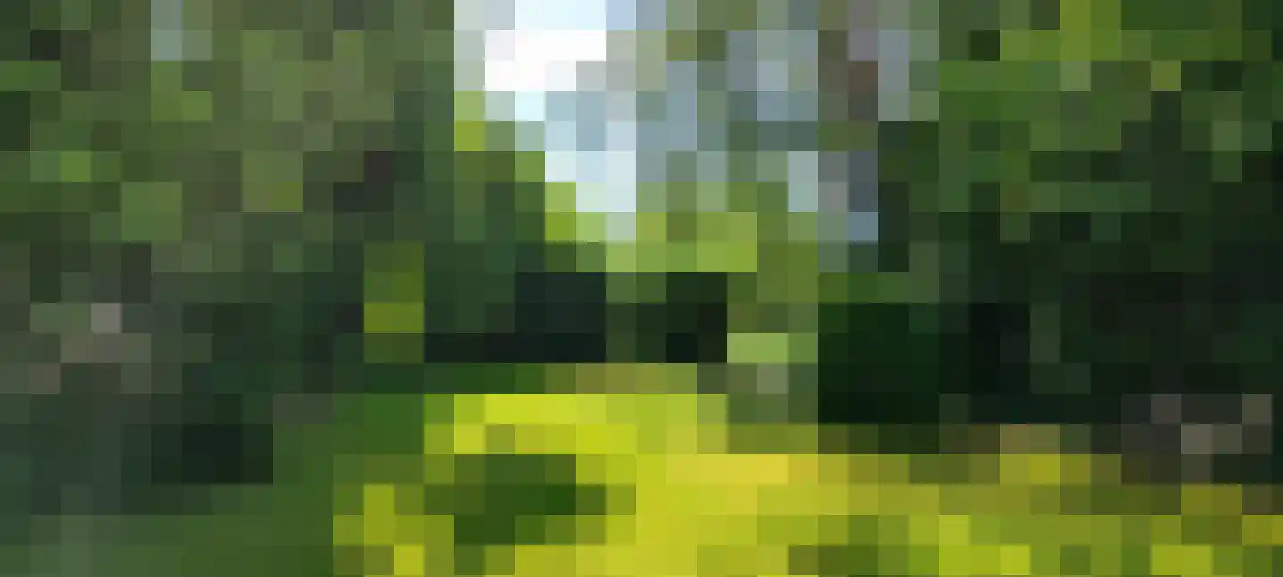 Burg. Van Houtstraat 86 Budel thumbnail 5