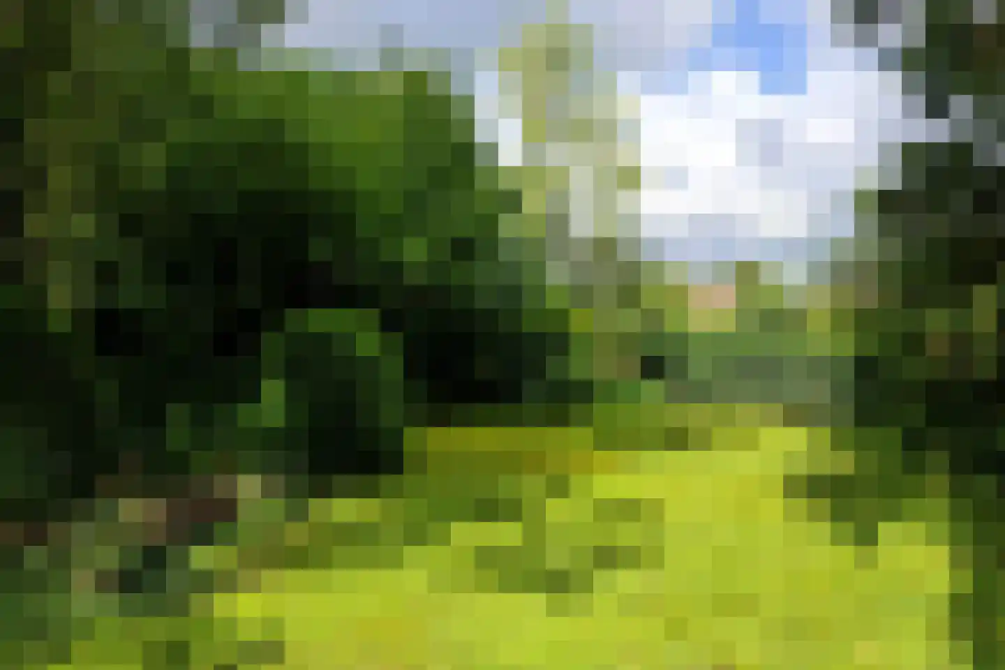 Burg. Van Houtstraat 86 Budel thumbnail 6