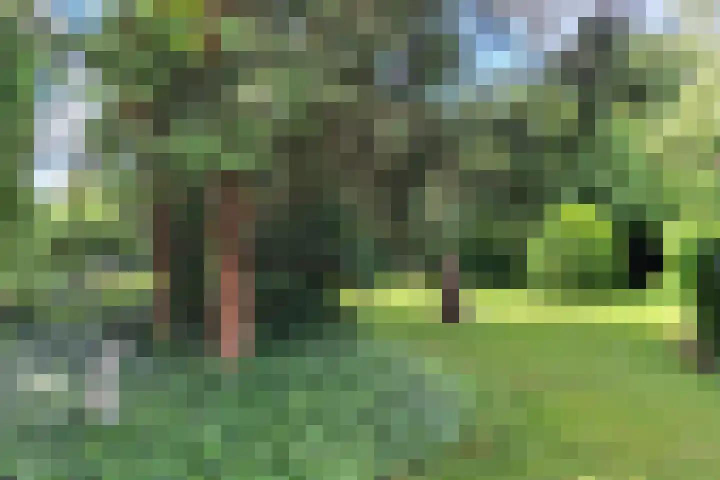 Burg. Van Houtstraat 86 Budel thumbnail 7
