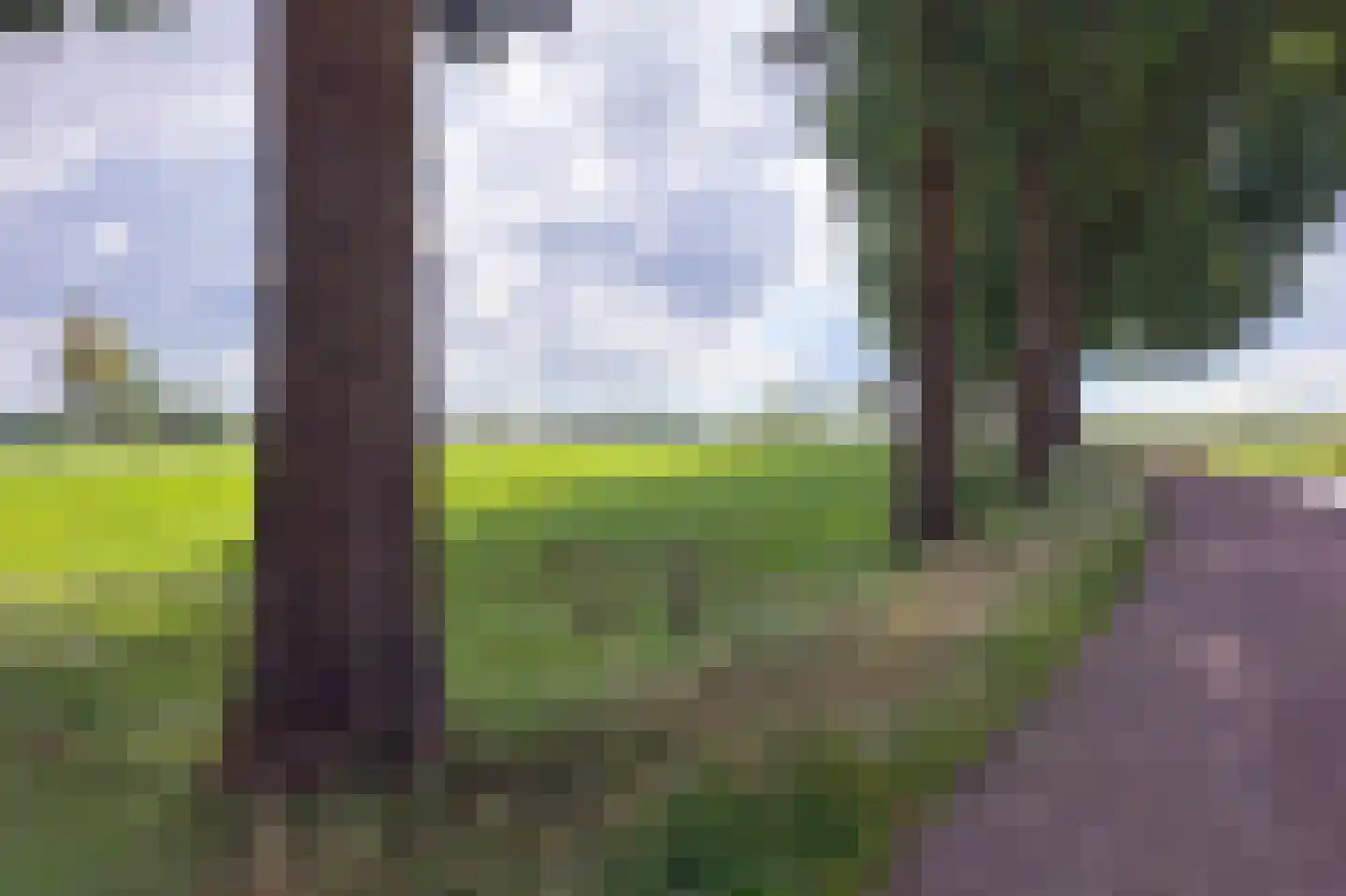 Burg. Van Houtstraat 86 Budel thumbnail 9