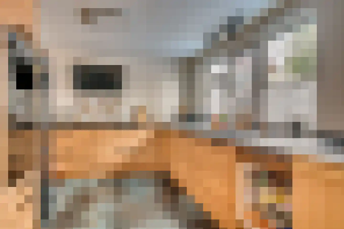 Burg van Kempenstraat 17 Grubbenvorst thumbnail 7