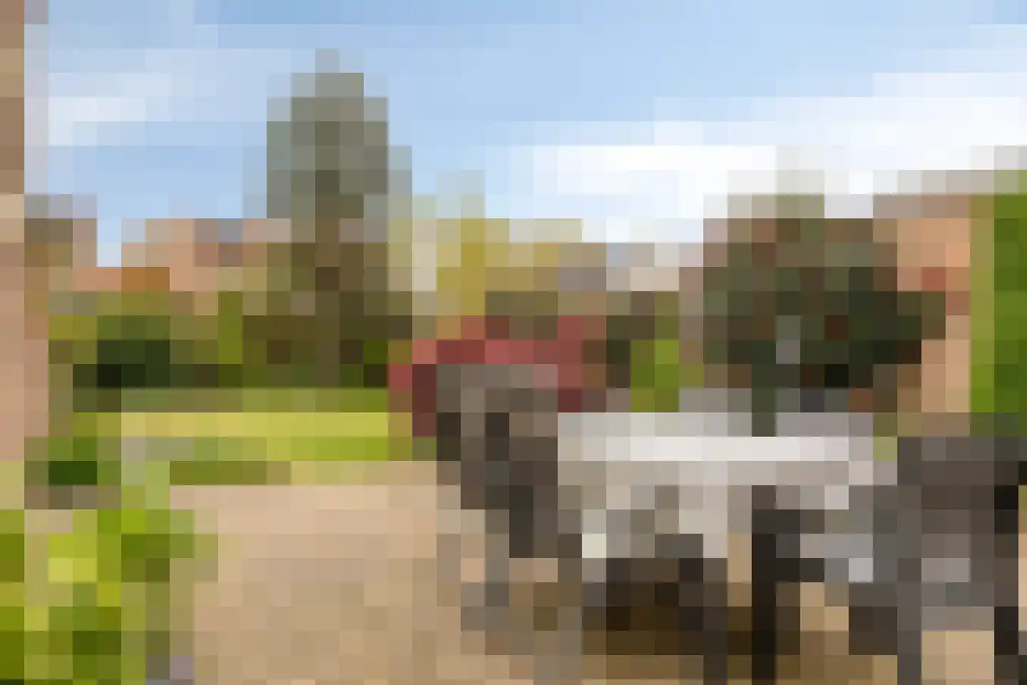 Burg van Kempenstraat 35 Grubbenvorst thumbnail 29