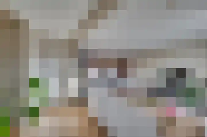 Burg van Kempenstraat 7 Grubbenvorst thumbnail 6