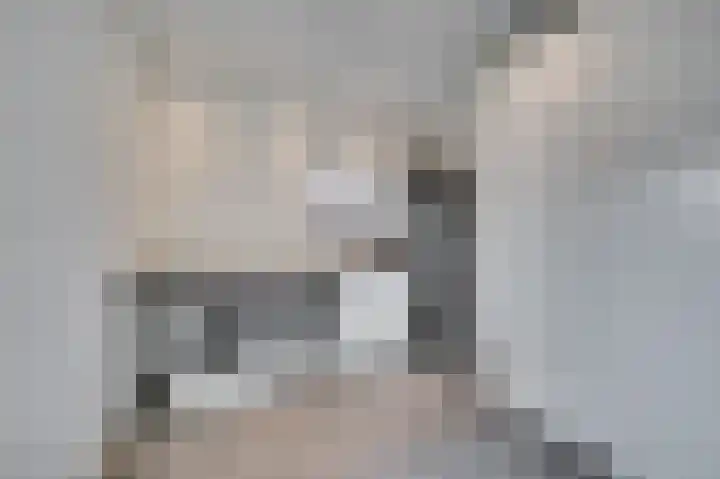Burg van Kempenstraat 7 Grubbenvorst thumbnail 8