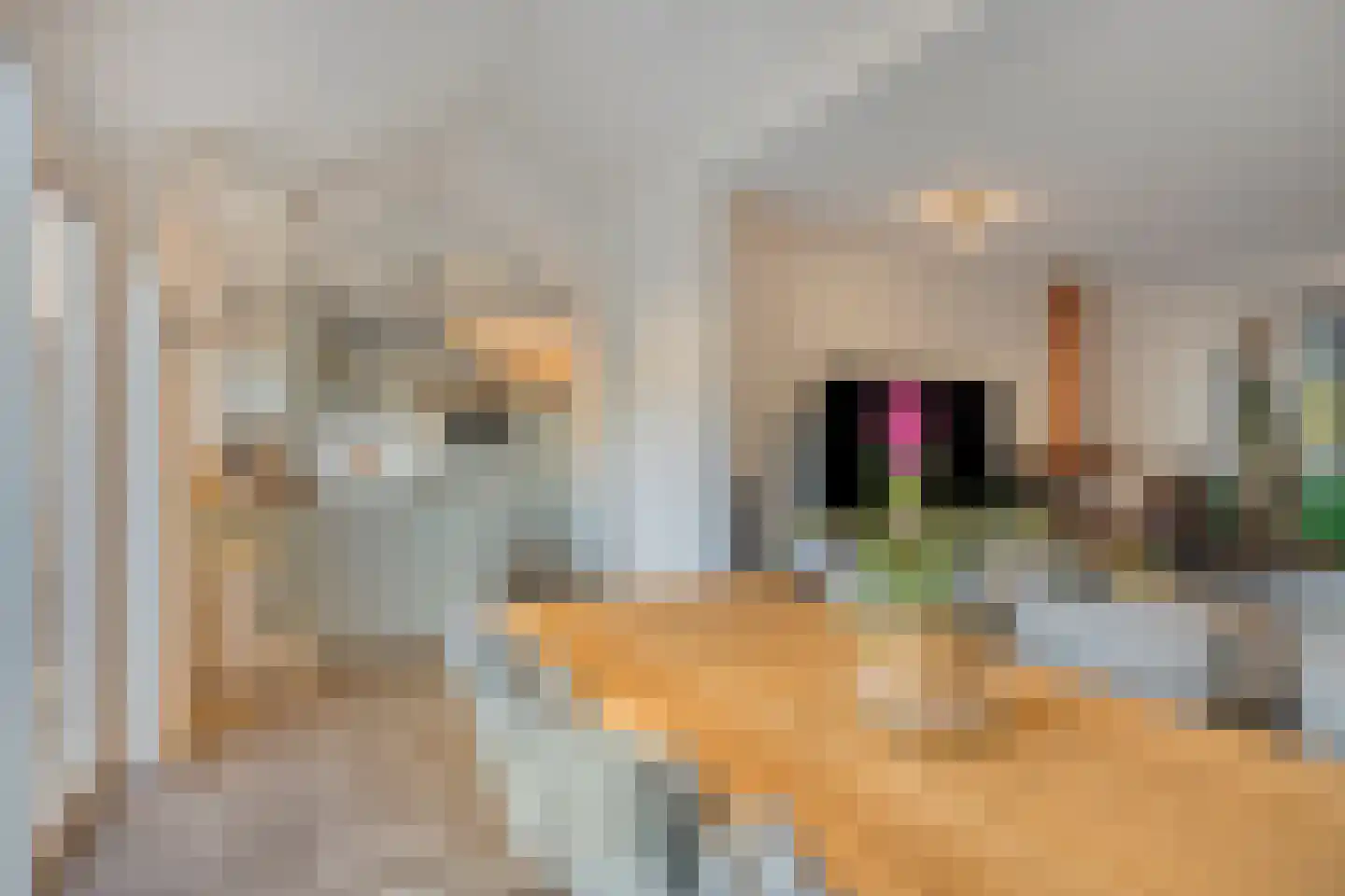 Burg. Van Laarstraat 20 Gronsveld thumbnail 17